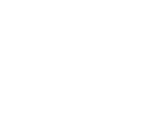 Mister Wings