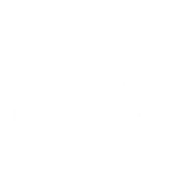 Pizza Caracas