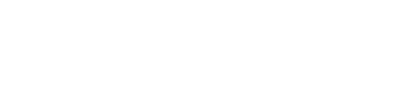 Toy Express